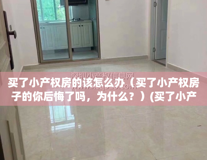 买了小产权房的该怎么办（买了小产权房子的你后悔了吗，为什么？）(买了小产权的房子会怎么样)