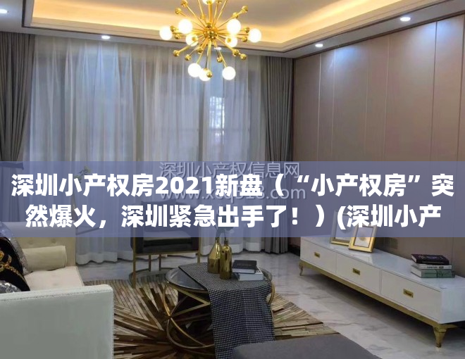 深圳小产权房2021新盘（“小产权房”突然爆火，深圳紧急出手了！）(深圳小产权房新楼盘)