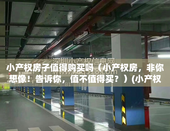小产权房子值得购买吗（小产权房，非你想像！告诉你，值不值得买？）(小产权房值钱吗)