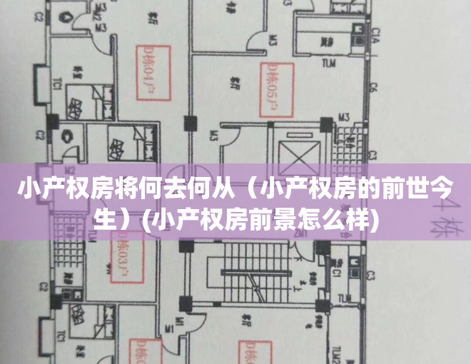 小产权房将何去何从（小产权房的前世今生）(小产权房前景怎么样)