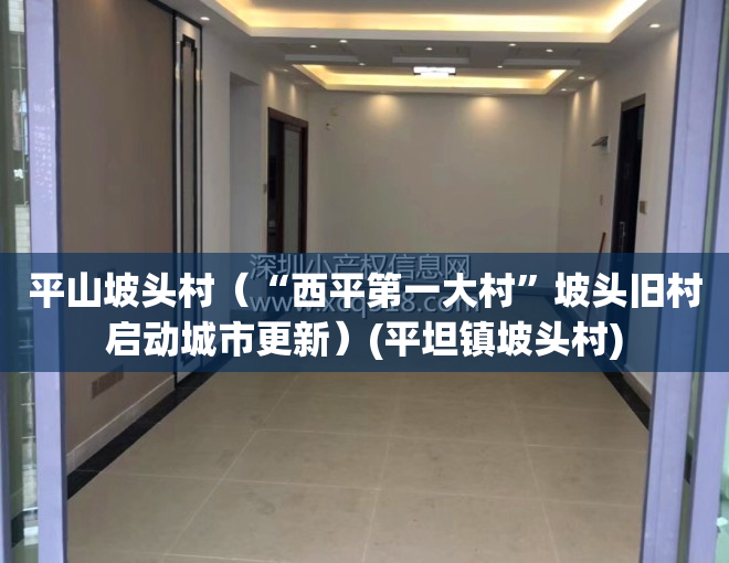 平山坡头村（“西平第一大村”坡头旧村启动城市更新）(平坦镇坡头村)