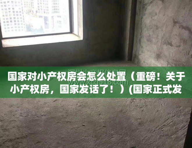 国家对小产权房会怎么处置（重磅！关于小产权房，国家发话了！）(国家正式发文小产权房)