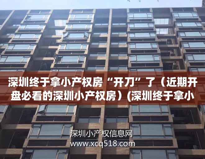深圳终于拿小产权房“开刀”了（近期开盘必看的深圳小产权房）(深圳终于拿小产权房“开刀”了)