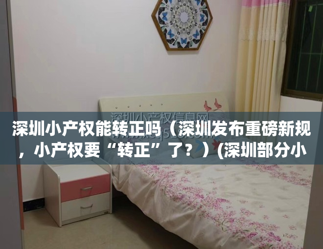 深圳小产权能转正吗（深圳发布重磅新规，小产权要“转正”了？）(深圳部分小产权可转正)