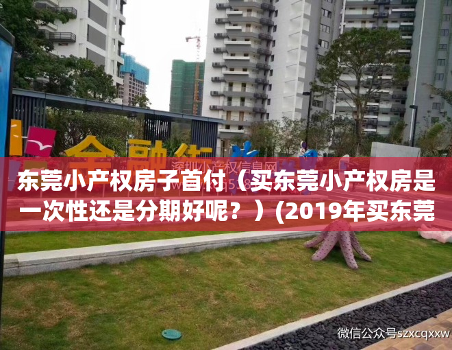 东莞小产权房子首付（买东莞小产权房是一次性还是分期好呢？）(2019年买东莞小产权房一定注意这5点)