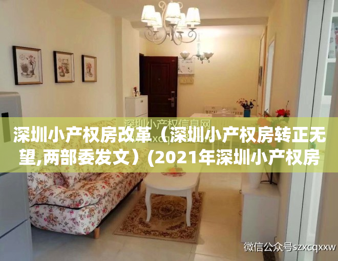 深圳小产权房改革（深圳小产权房转正无望,两部委发文）(2021年深圳小产权房政策解读)