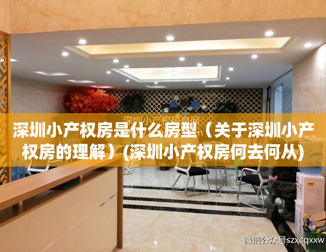 深圳小产权房是什么房型（关于深圳小产权房的理解）(深圳小产权房何去何从)