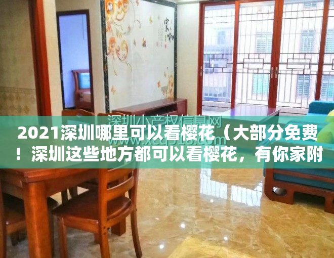 2021深圳哪里可以看樱花（大部分免费！深圳这些地方都可以看樱花，有你家附近的吗？）
