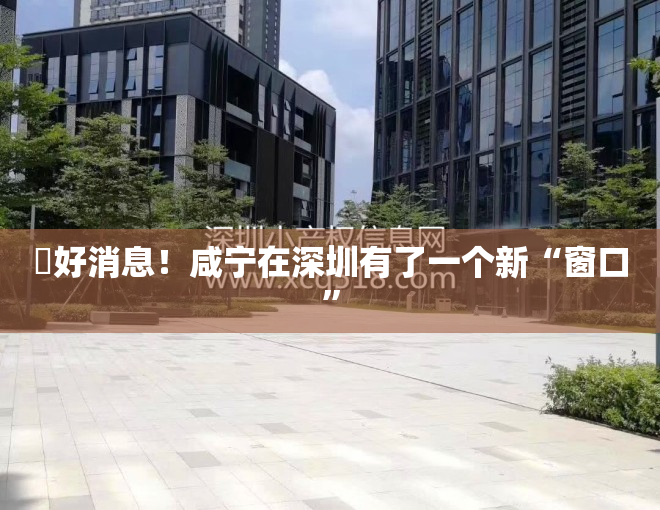 ​好消息！咸宁在深圳有了一个新“窗口”