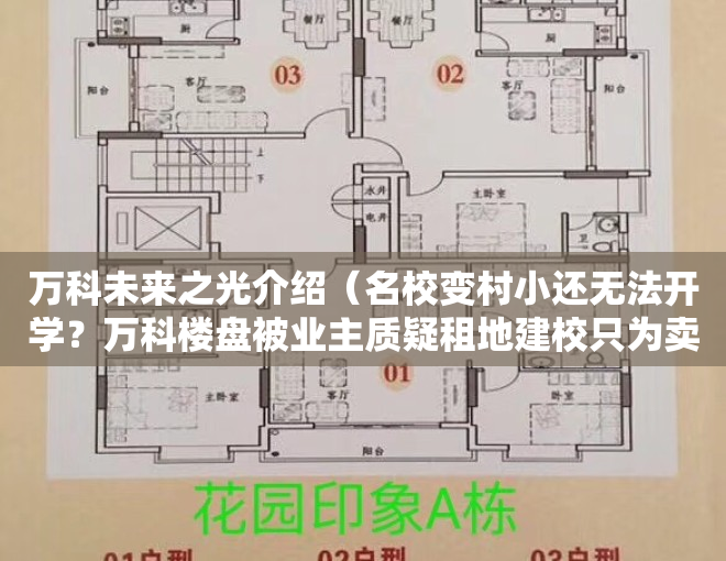 万科未来之光介绍（名校变村小还无法开学？万科楼盘被业主质疑租地建校只为卖房）