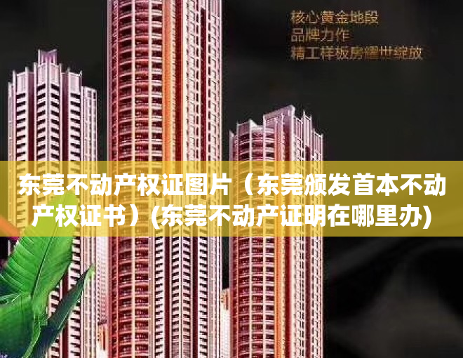 东莞不动产权证图片（东莞颁发首本不动产权证书）(东莞不动产证明在哪里办)