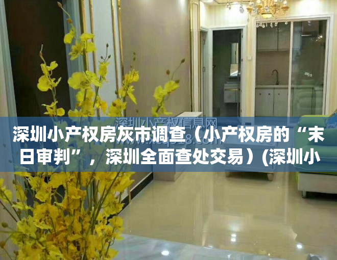 深圳小产权房灰市调查（小产权房的“末日审判”，深圳全面查处交易）(深圳小产权暴跌)