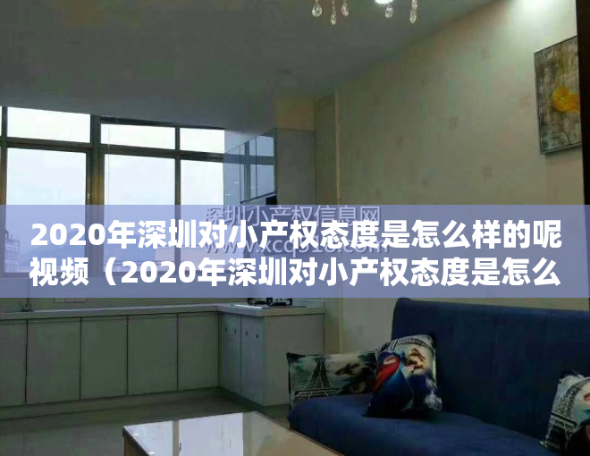 2020年深圳对小产权态度是怎么样的呢视频（2020年深圳对小产权态度是怎么样的呢？）