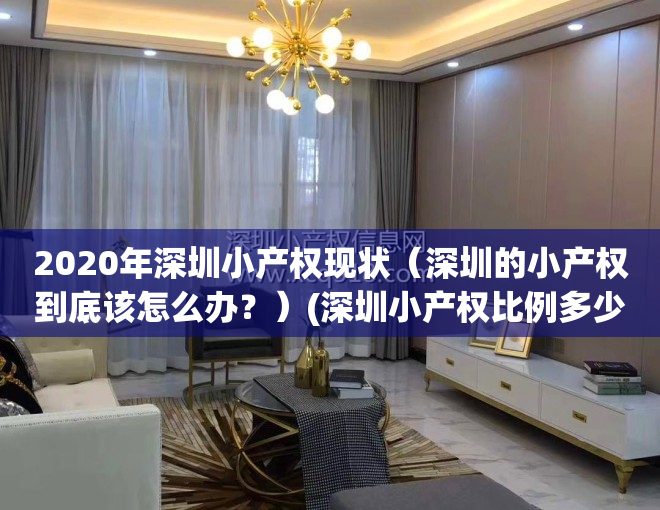 2020年深圳小产权现状（深圳的小产权到底该怎么办？）(深圳小产权比例多少)