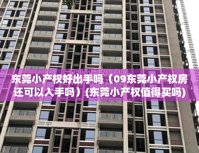 东莞小产权好出手吗（09东莞小产权房还可以入手吗）(东莞小产权值得买吗)