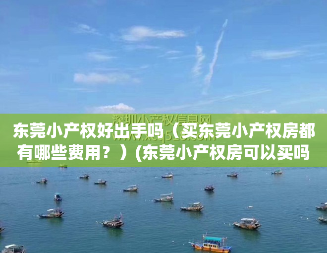 东莞小产权好出手吗（买东莞小产权房都有哪些费用？）(东莞小产权房可以买吗?产权房)