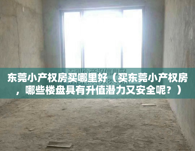 东莞小产权房买哪里好（买东莞小产权房，哪些楼盘具有升值潜力又安全呢？）