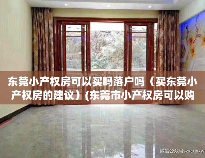 东莞小产权房可以买吗落户吗（买东莞小产权房的建议）(东莞市小产权房可以购买吗)