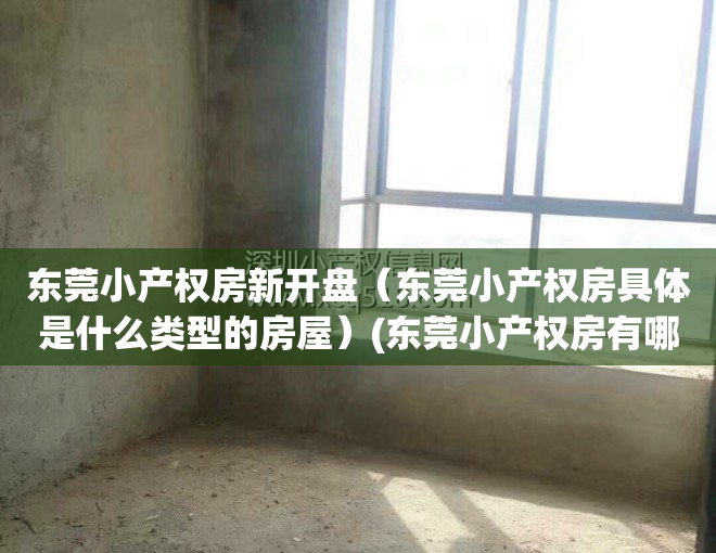 东莞小产权房新开盘（东莞小产权房具体是什么类型的房屋）(东莞小产权房有哪些)