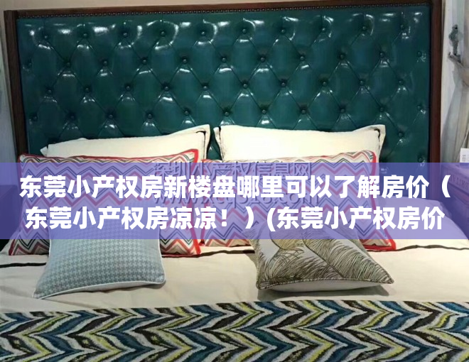 东莞小产权房新楼盘哪里可以了解房价（东莞小产权房凉凉！）(东莞小产权房价2021最新价格走势)