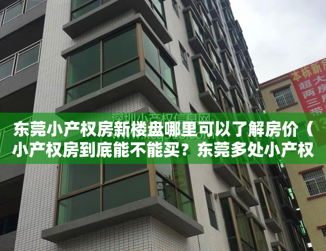东莞小产权房新楼盘哪里可以了解房价（小产权房到底能不能买？东莞多处小产权房被拆…）