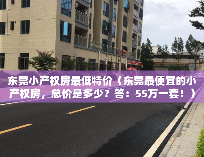 东莞小产权房最低特价（东莞最便宜的小产权房，总价是多少？答：55万一套！）