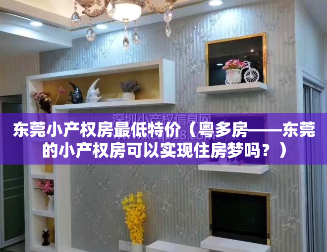 东莞小产权房最低特价（粤多房——东莞的小产权房可以实现住房梦吗？）