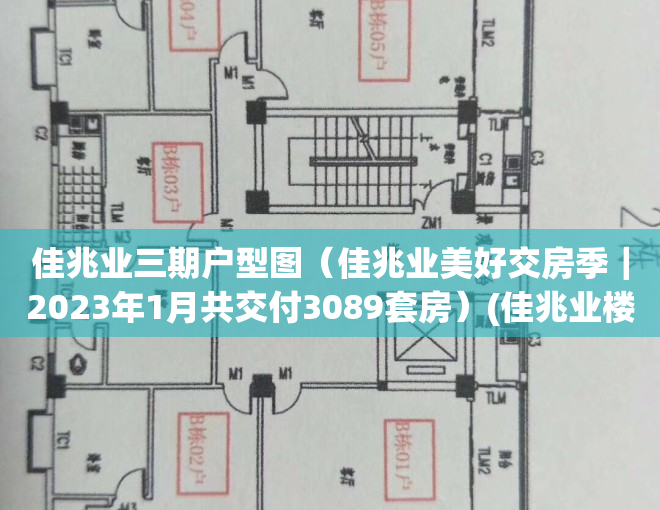 佳兆业三期户型图（佳兆业美好交房季｜2023年1月共交付3089套房）(佳兆业楼盘口碑怎么样)