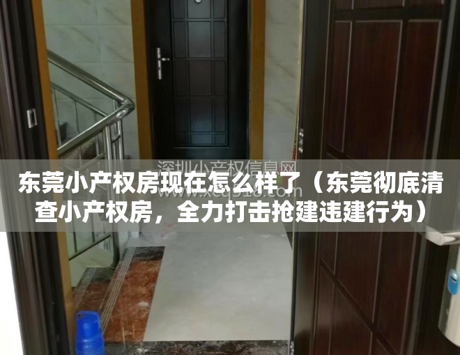 东莞小产权房现在怎么样了（东莞彻底清查小产权房，全力打击抢建违建行为）
