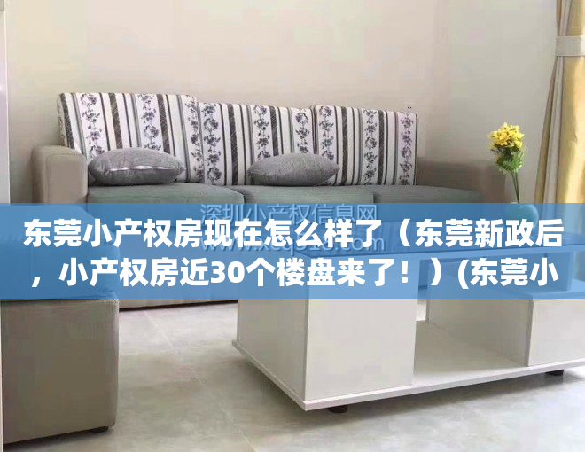 东莞小产权房现在怎么样了（东莞新政后，小产权房近30个楼盘来了！）(东莞小产权房开放了吗)