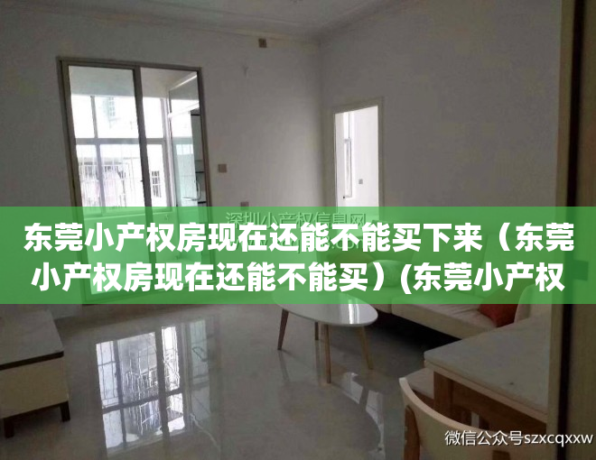 东莞小产权房现在还能不能买下来（东莞小产权房现在还能不能买）(东莞小产权房能买吗?)