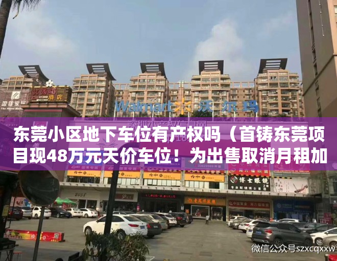 东莞小区地下车位有产权吗（首铸东莞项目现48万元天价车位！为出售取消月租加装地锁，业主气愤维权）