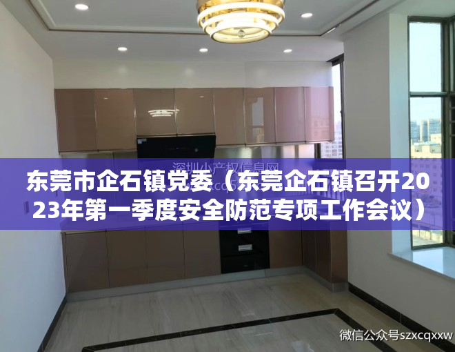 东莞市企石镇党委（东莞企石镇召开2023年第一季度安全防范专项工作会议）