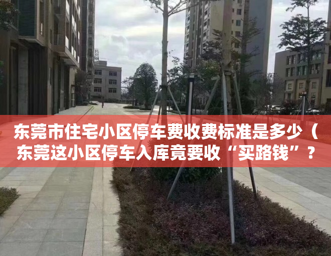东莞市住宅小区停车费收费标准是多少（东莞这小区停车入库竟要收“买路钱”？）