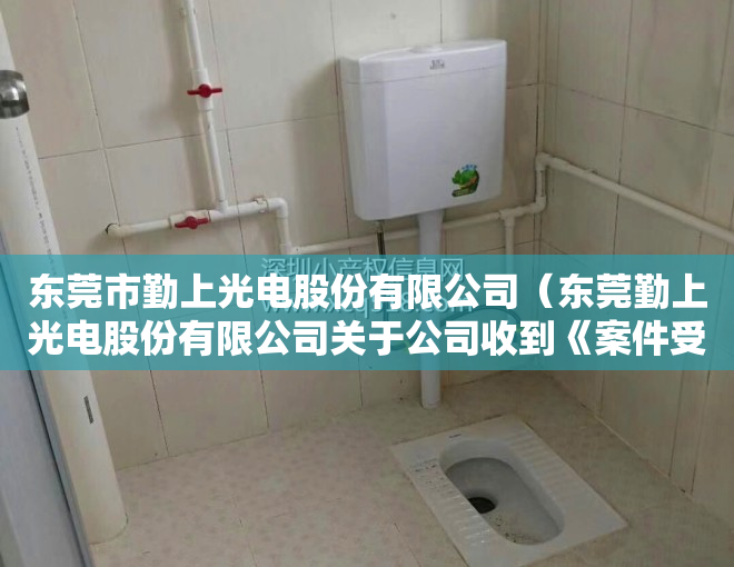 东莞市勤上光电股份有限公司（东莞勤上光电股份有限公司关于公司收到《案件受理通知书》的公告）