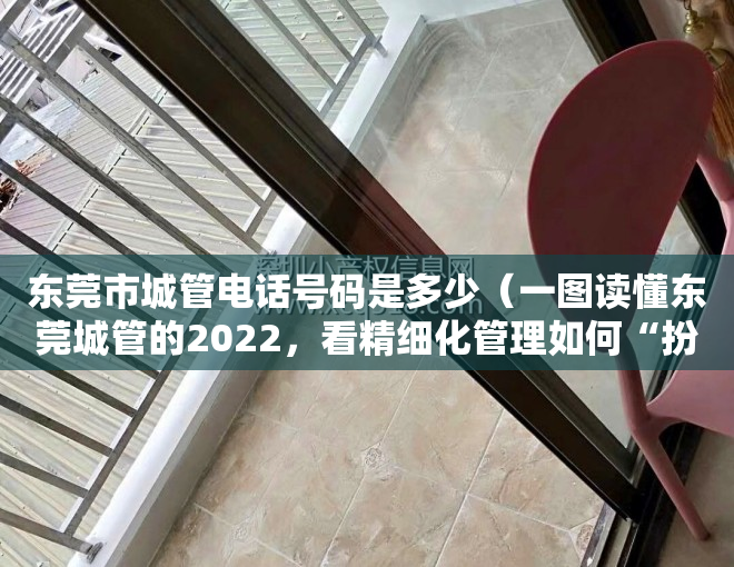 东莞市城管电话号码是多少（一图读懂东莞城管的2022，看精细化管理如何“扮靓”城市）