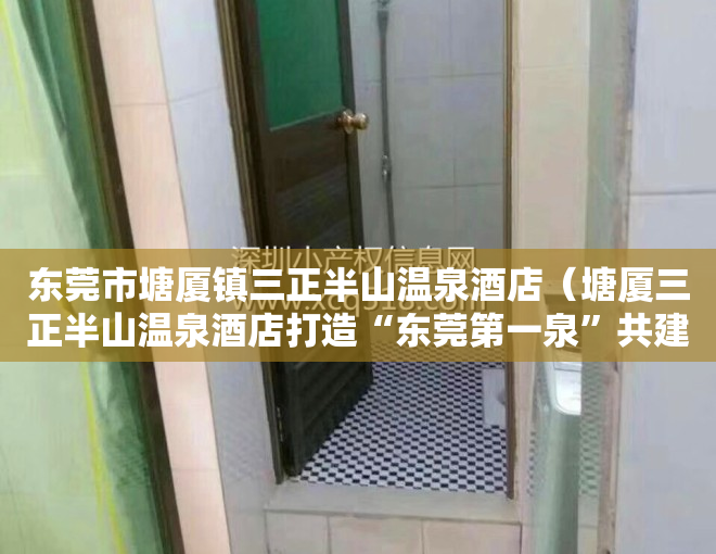 东莞市塘厦镇三正半山温泉酒店（塘厦三正半山温泉酒店打造“东莞第一泉”共建大湾区优质生活圈）