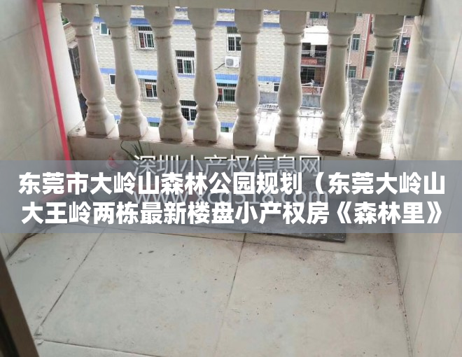 东莞市大岭山森林公园规划（东莞大岭山大王岭两栋最新楼盘小产权房《森林里》依山傍水 带停车场 首付二成分期五年！）