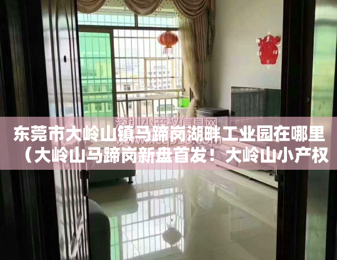 东莞市大岭山镇马蹄岗湖畔工业园在哪里（大岭山马蹄岗新盘首发！大岭山小产权房《松湖悦城》出售）