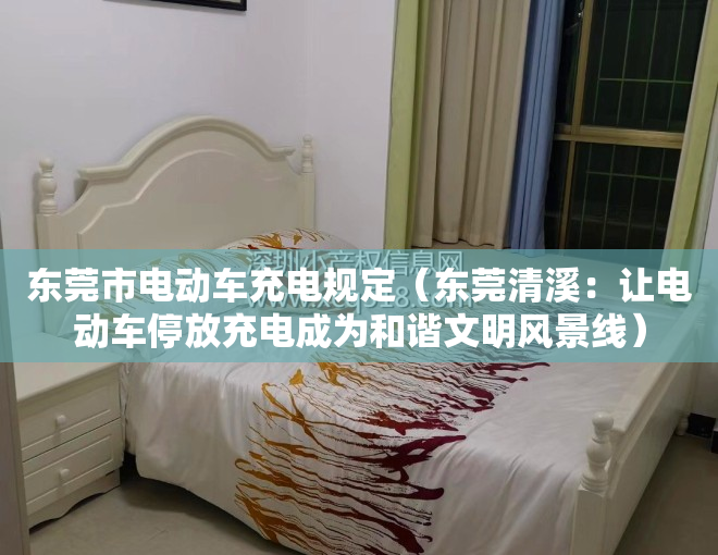 东莞市电动车充电规定（东莞清溪：让电动车停放充电成为和谐文明风景线）