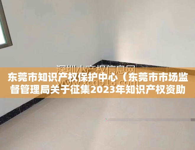 东莞市知识产权保护中心（东莞市市场监督管理局关于征集2023年知识产权资助项目申报通知）