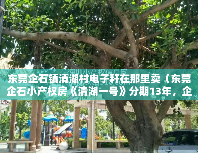 东莞企石镇清湖村电子秆在那里卖（东莞企石小产权房《清湖一号》分期13年，企石三栋小区，自带地下车库楼盘，学区房！走路五分钟幼儿园小学初中）