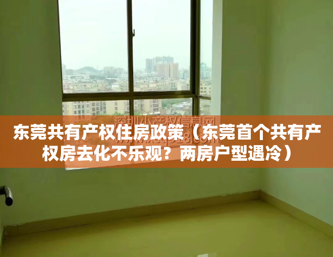 东莞共有产权住房政策（东莞首个共有产权房去化不乐观？两房户型遇冷）