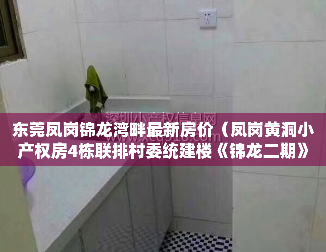 东莞凤岗锦龙湾畔最新房价（凤岗黄洞小产权房4栋联排村委统建楼《锦龙二期》首付5成 分期3年  三房两厅698万起   毛胚交房  手续齐全 深莞0距离）