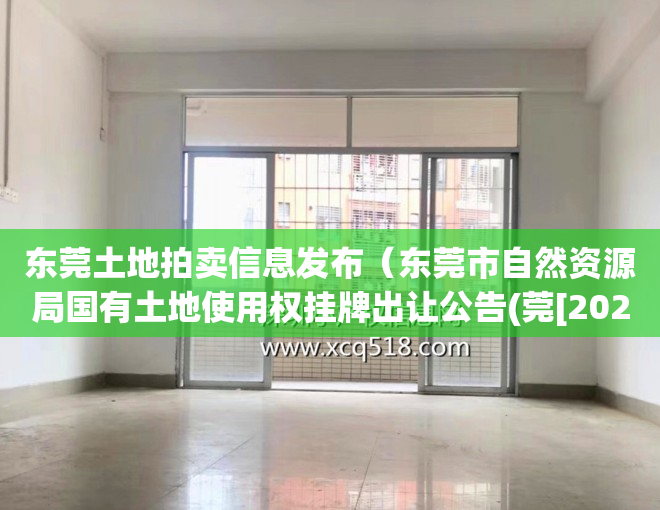 东莞土地拍卖信息发布（东莞市自然资源局国有土地使用权挂牌出让公告(莞[2023]WT025号)）