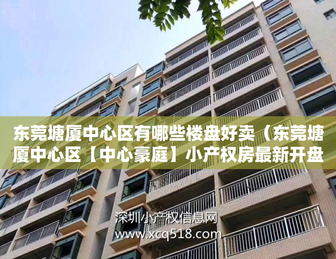 东莞塘厦中心区有哪些楼盘好卖（东莞塘厦中心区【中心豪庭】小产权房最新开盘 2大栋现房发售）