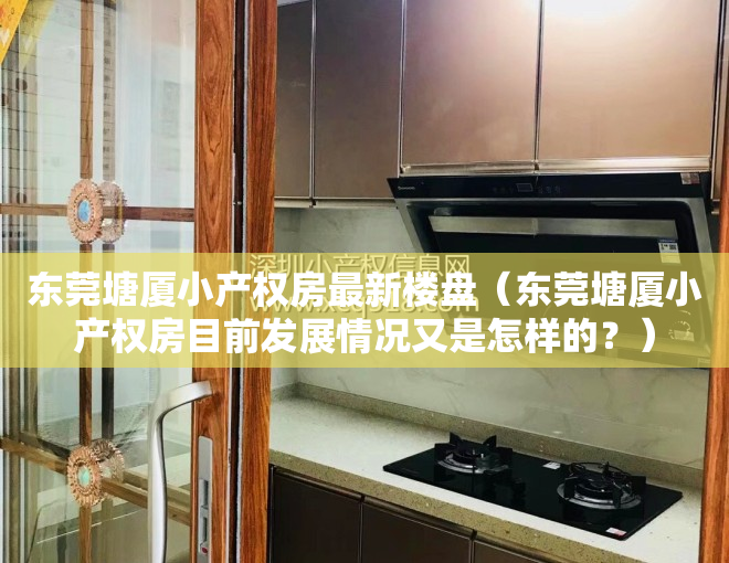 东莞塘厦小产权房最新楼盘（东莞塘厦小产权房目前发展情况又是怎样的？）