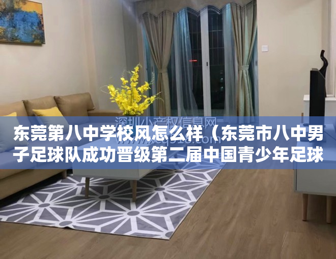 东莞第八中学校风怎么样（东莞市八中男子足球队成功晋级第二届中国青少年足球联赛全国总决赛）