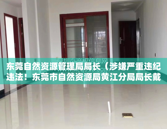 东莞自然资源管理局局长（涉嫌严重违纪违法！东莞市自然资源局黄江分局局长戴吉举接受审查调查）