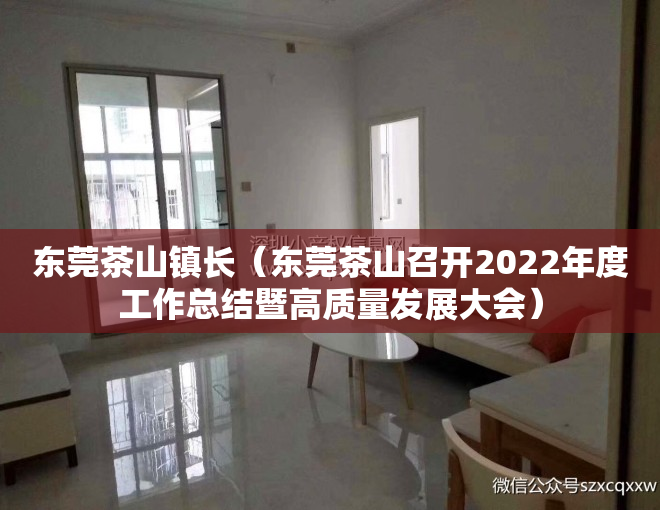 东莞茶山镇长（东莞茶山召开2022年度工作总结暨高质量发展大会）